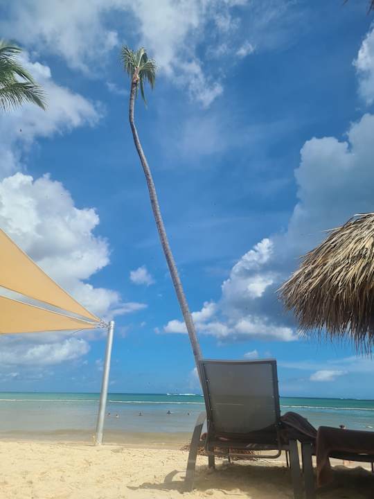 Strand Dreams Flora Resort & Spa - All Inclusive