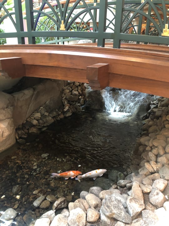 Gartenanlage Grand Hyatt Dubai