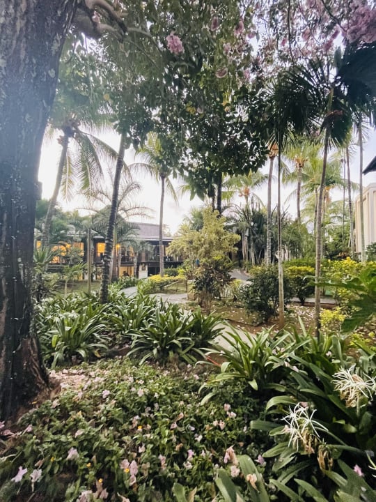 Gartenanlage Lagoon Attitude - Adults only