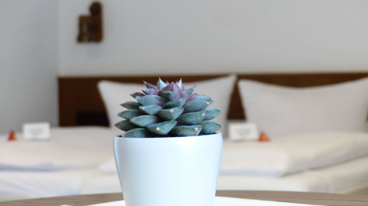 Doppelzimmer Hotel & Restaurant Rosenbusch