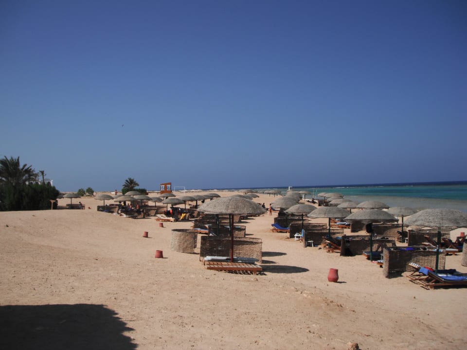 Liegen am Strand Hotel Gorgonia Beach Resort