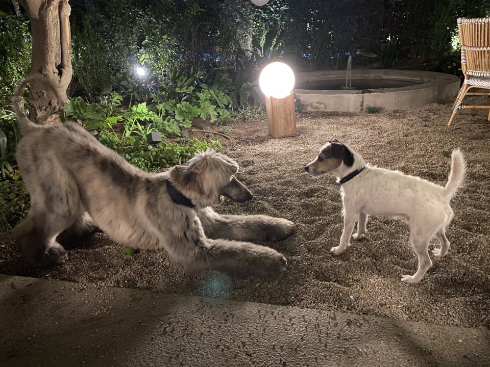 Gartenanlage Can Bordoy Grand House Hotel GL Preferred Hotel