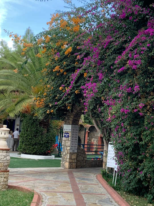 Gartenanlage Ölüdeniz Beach Resort by Z Hotels