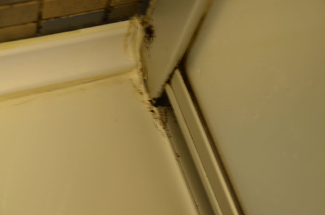 Duschkabine Bitez Garden Life