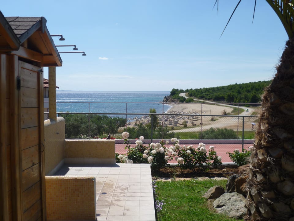 Blick vom Pool Blue Dolphin Resort Hotel