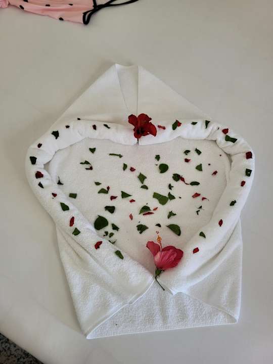 Zimmer Marhaba Royal Salem