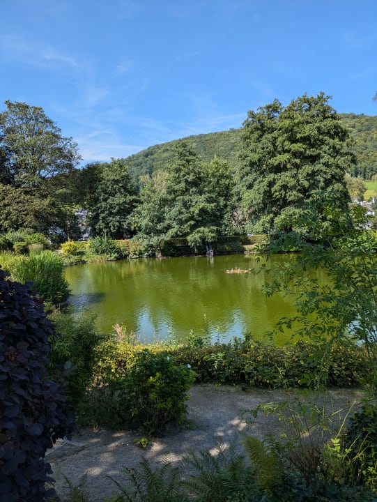 Ausblick Sauerland Alpin Hotel