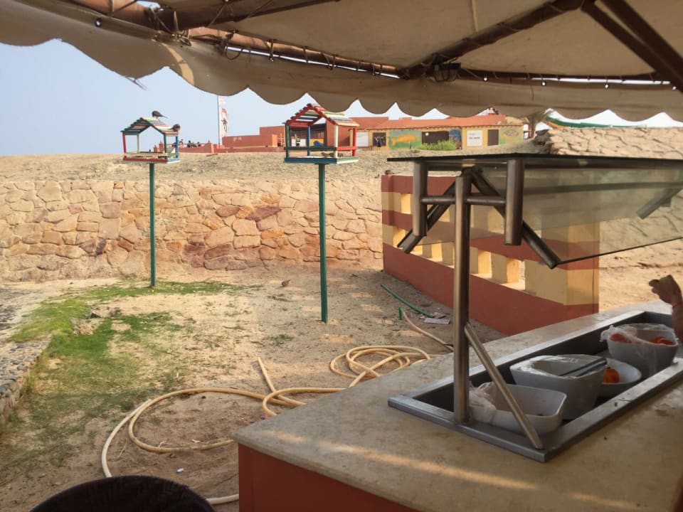 Strand Malikia Resort Abu Dabbab