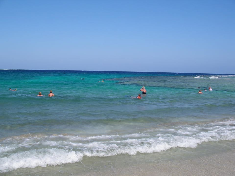 Hotelstrand/Riff Malikia Resort Abu Dabbab