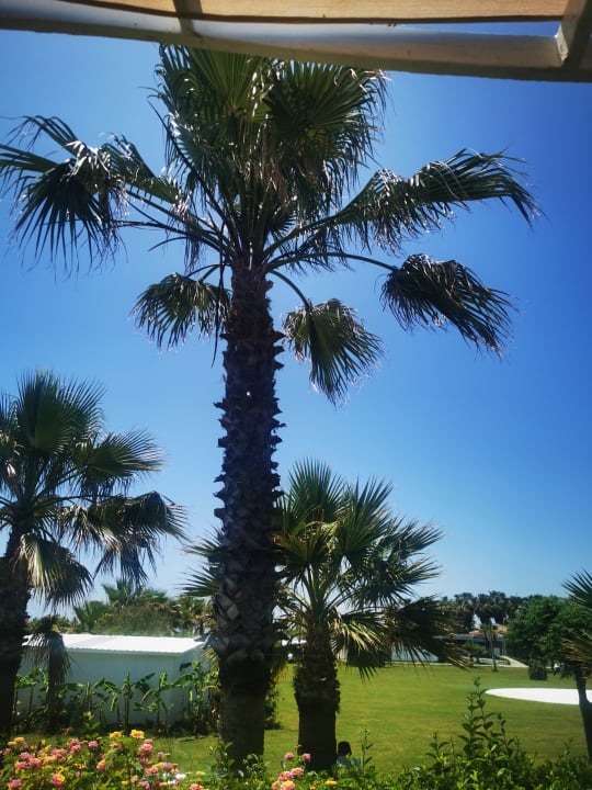 Gartenanlage Bella Resort & Spa