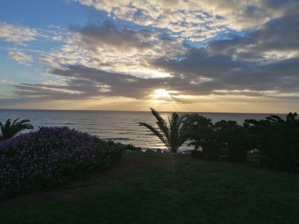 Gartenanlage R2 Pajara Beach