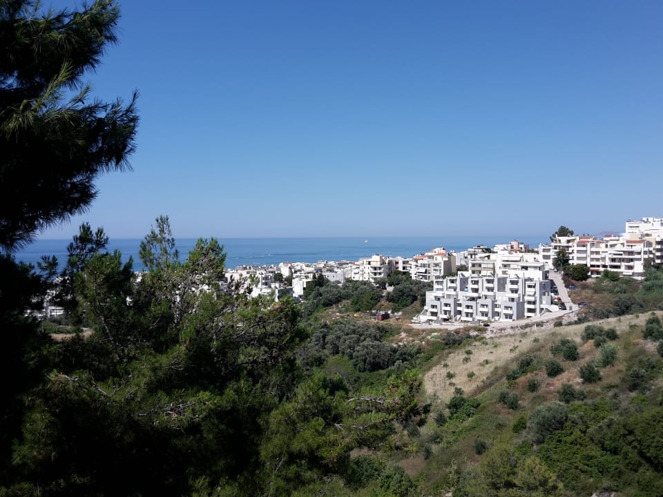 Ausblick Hotel Forest Park