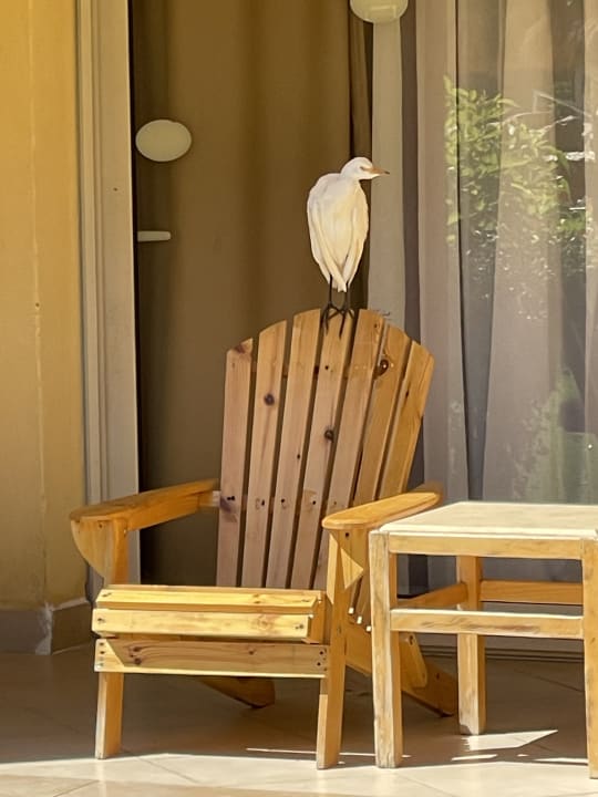 Zimmer Sentido Caribbean World Soma Bay