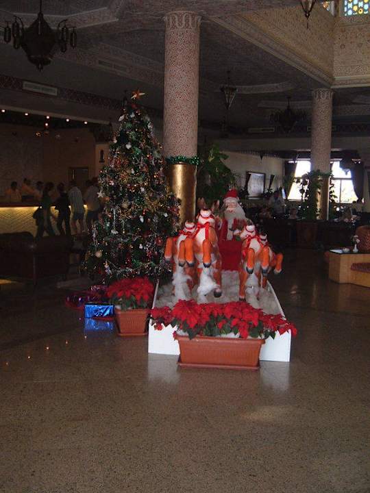 Weihnachten 2009 Pickalbatros Dana Beach Resort - Hurghada