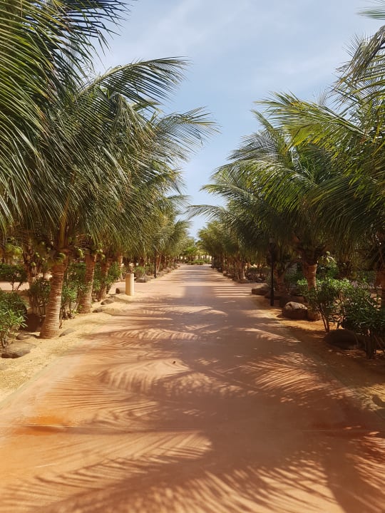 Gartenanlage Hotel Riu Touareg