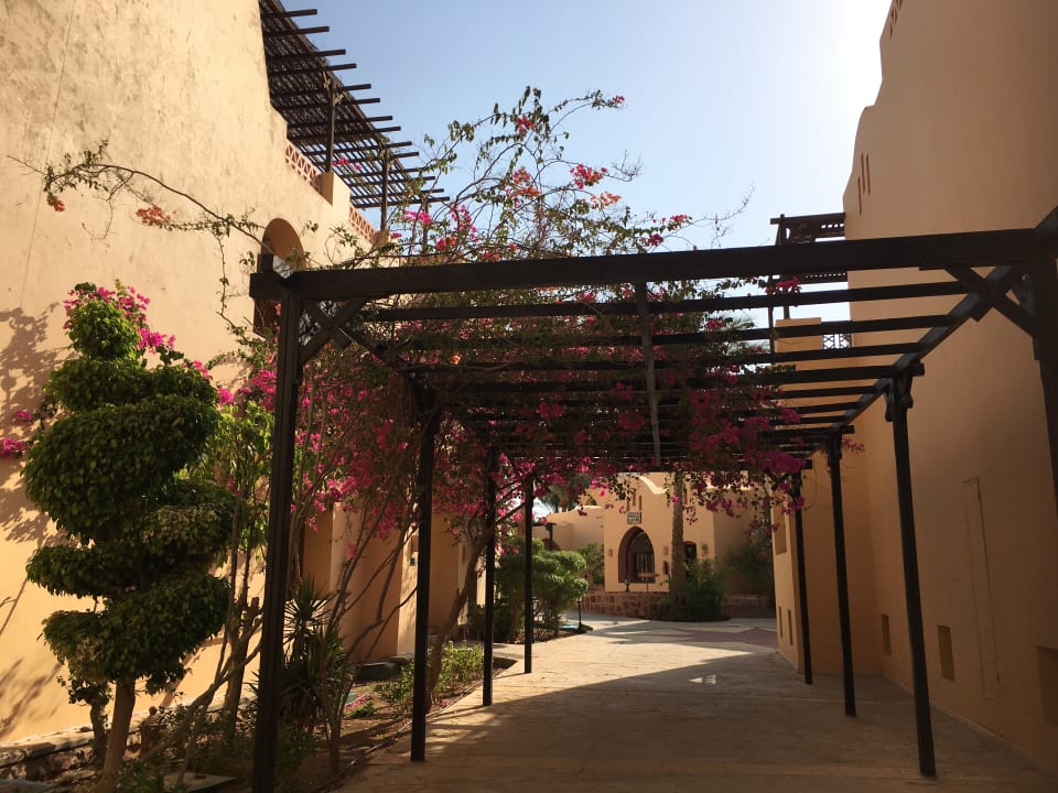 Sonstiges Steigenberger Coraya Beach - Adults only