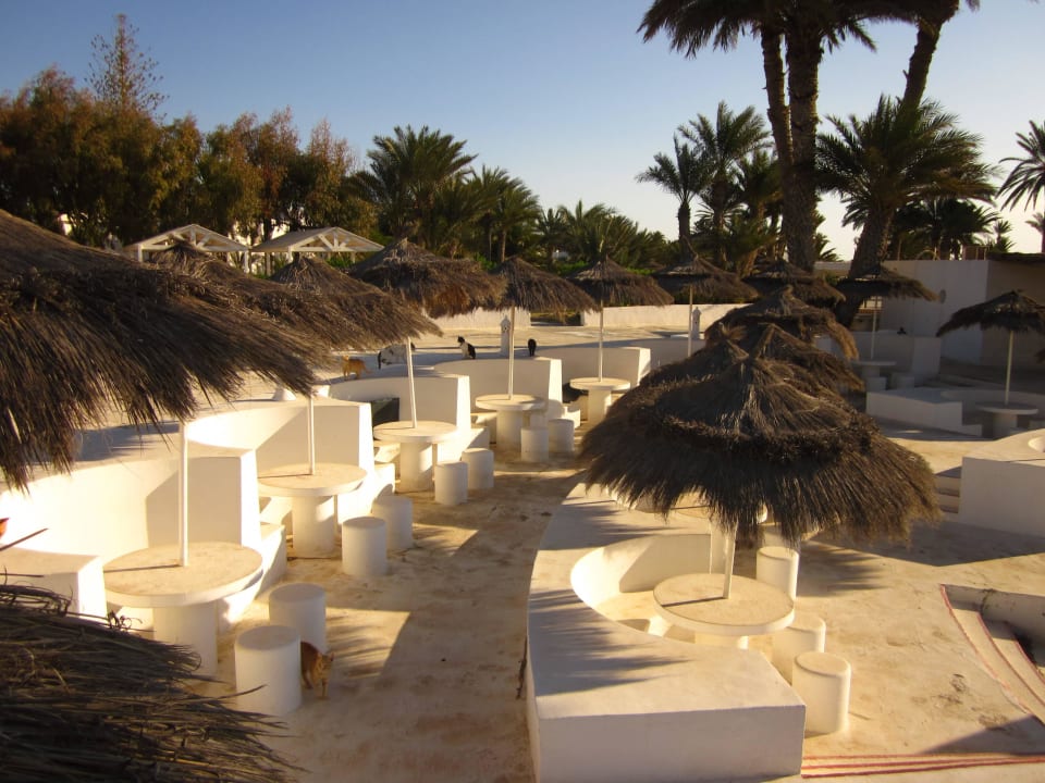 BBQ am Meer ab Mai offen Hotel El Mouradi Djerba Menzel