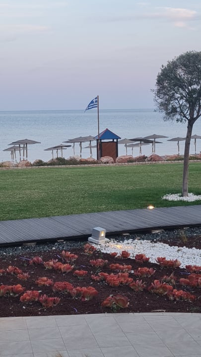 Außenansicht Elysium Resort & Spa Hotel