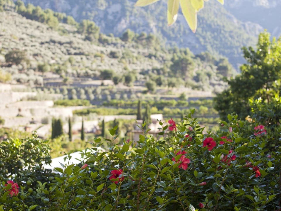 Vistas a la montaña Fornalutx Petit Hotel