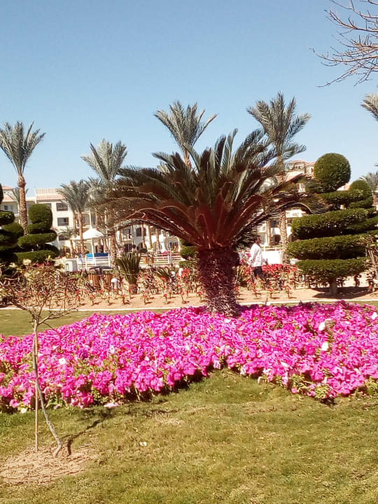 Gartenanlage Pickalbatros Dana Beach Resort - Hurghada