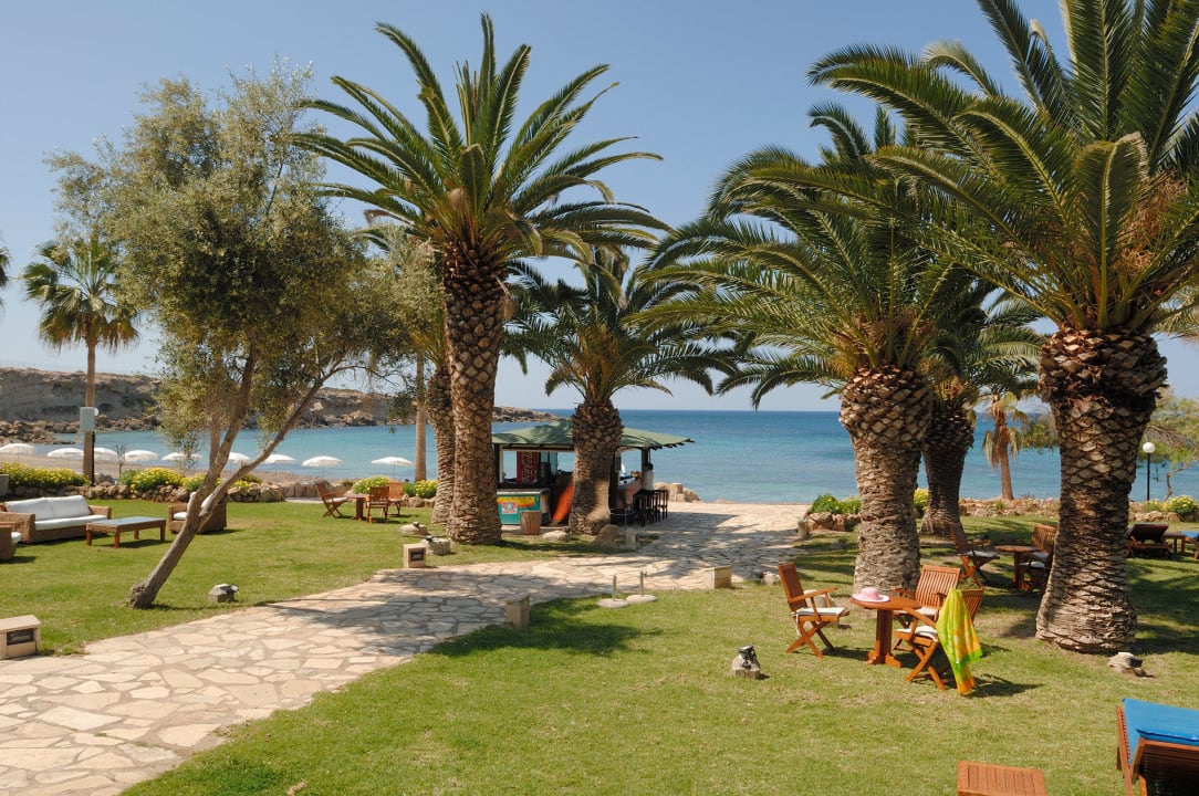 "Beach Bar" Coral Beach Hotel & Resort (Pegeia) • HolidayCheck
