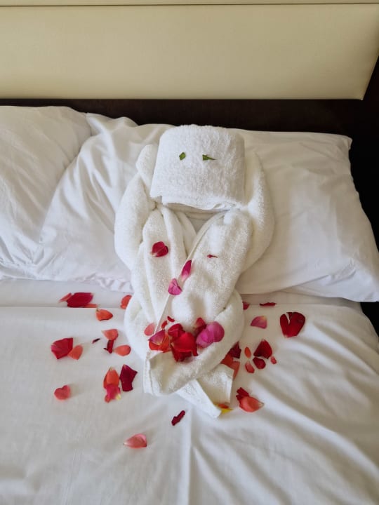 Zimmer TUI BLUE Oceanis Beach and Spa Resort