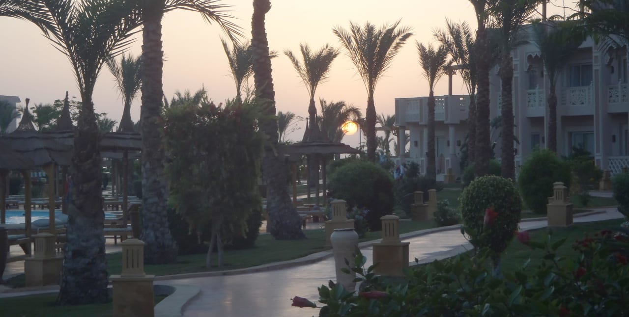 Sonnenaufgang im Mai Pickalbatros Palace Resort