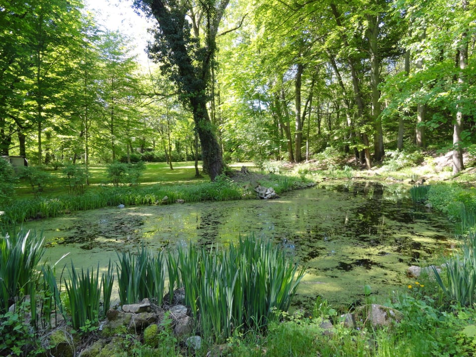 "Teich in der Gartenanlage" Hotel Villa Weltemühle Dresden (geschlossen