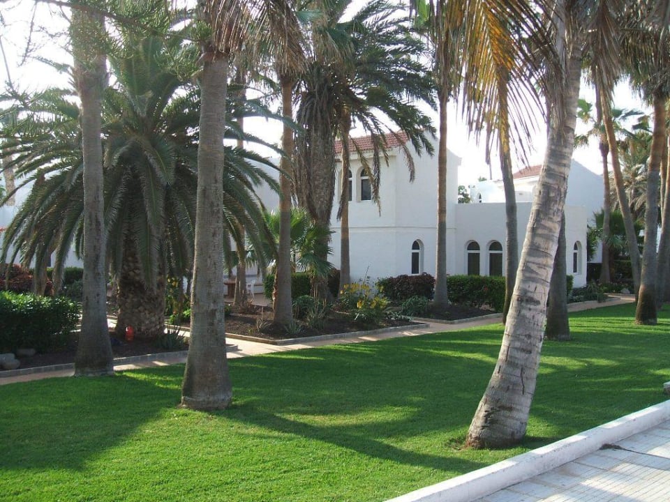 Vorgärten der Bungalows Barceló Fuerteventura Castillo