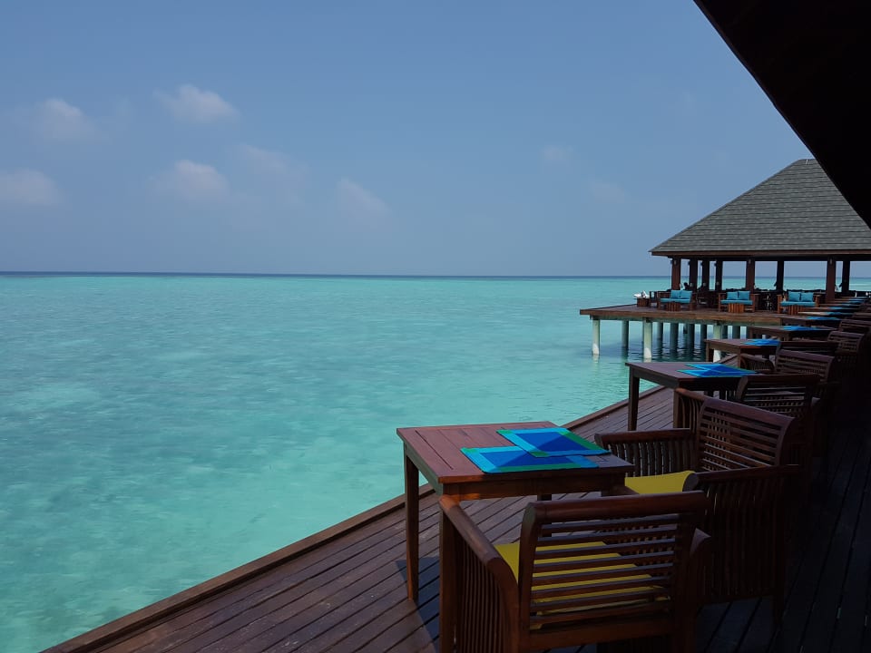 Gastro Summer Island Maldives