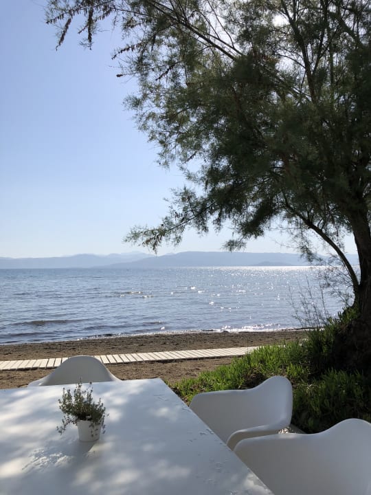 Gastro Capo Di Corfu  (Im Umbau/Renovierung)