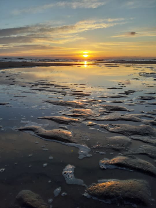 Strand Villaparc Duynopgangh