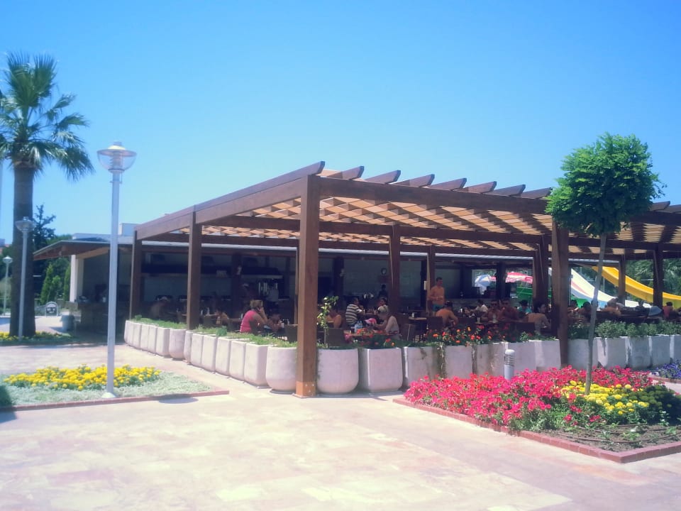 Bar przy basenie Venosa Beach Resort & Spa