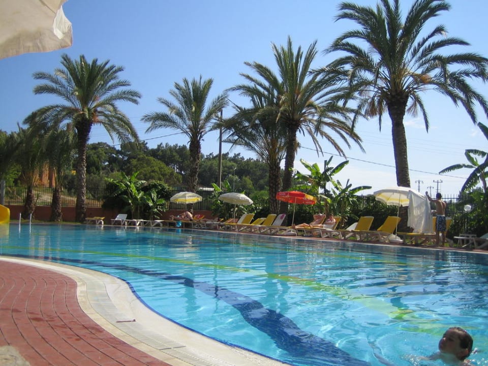 Pool Hotel Palm d'Or