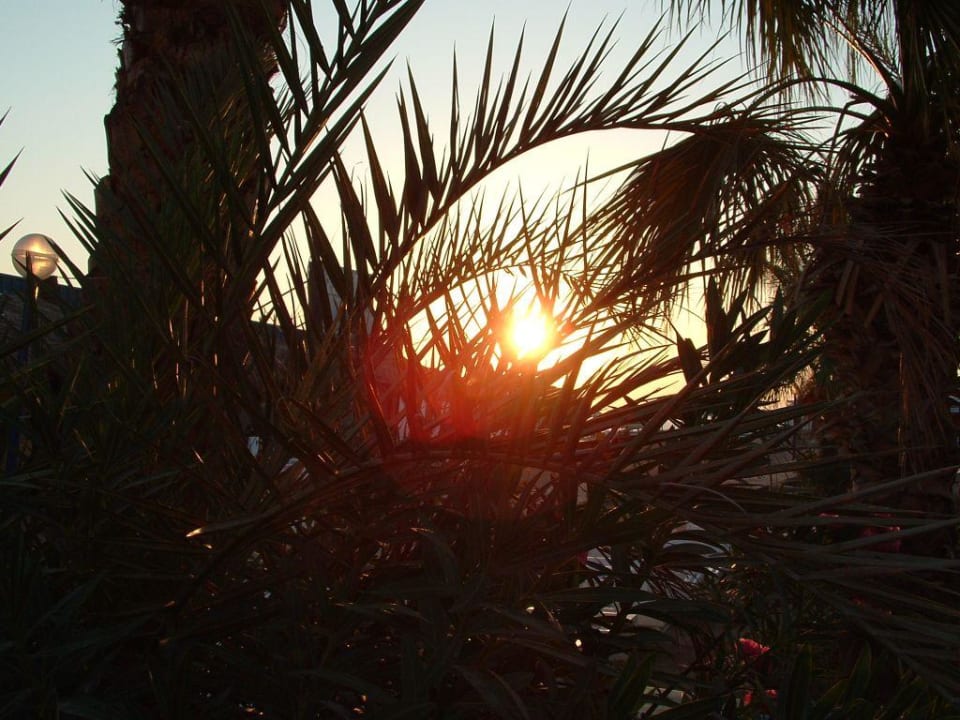 sonnenaufgang Beach Albatros Resort