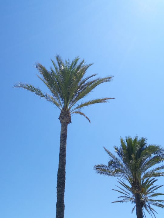 Sonstiges Hipotels Flamenco