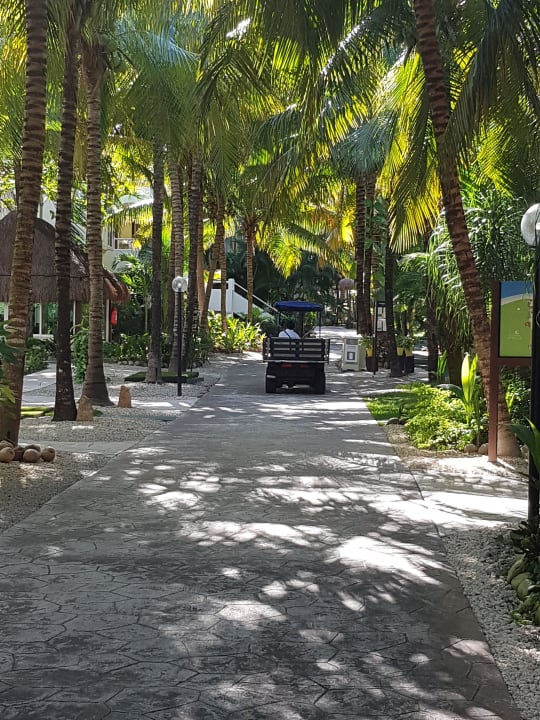 Sonstiges TUI BLUE El Dorado Seaside Suites