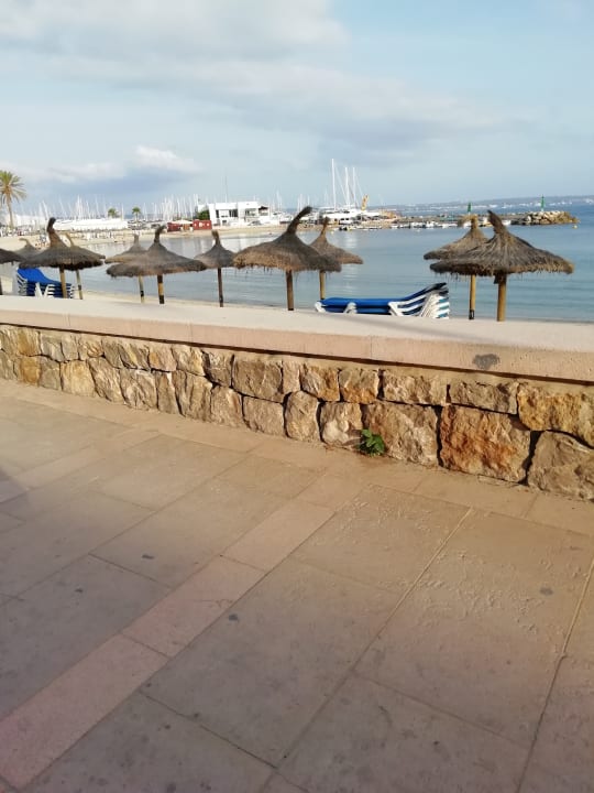 Ausblick JS Palma Stay