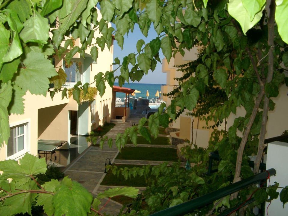 BlickvomBalkon Hotel Dedalos Beach