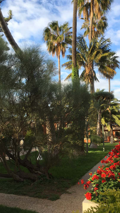 Ausblick von unserem Zimmer  Apartments Ambassador