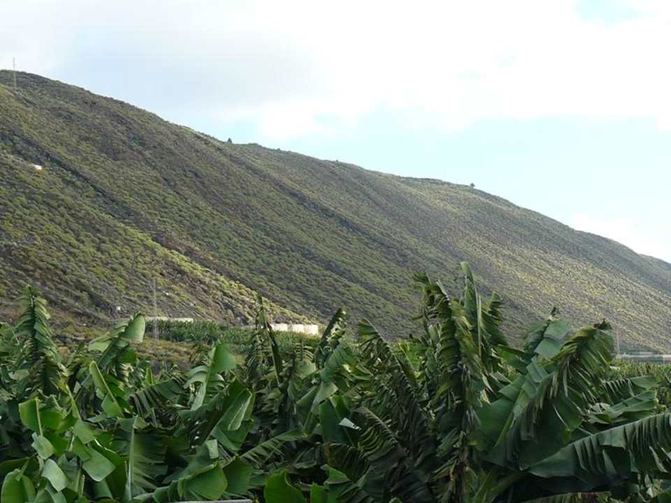 Umgebung des Hotels La Palma Princess