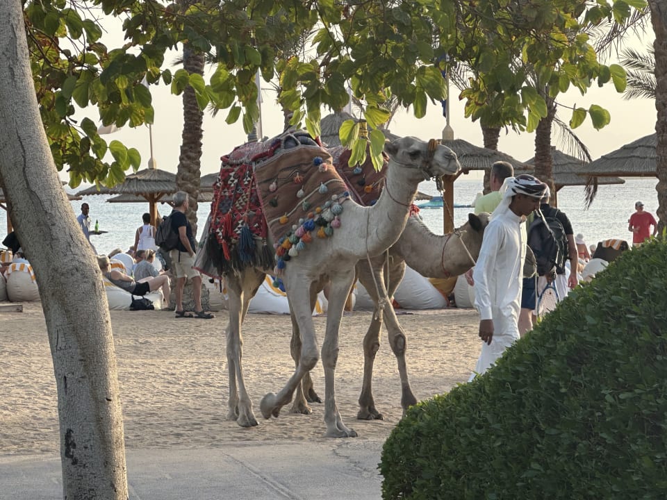 Strand ROBINSON SOMA BAY