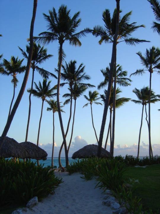 Palmen Grand Palladium Select Bávaro Resort & Spa