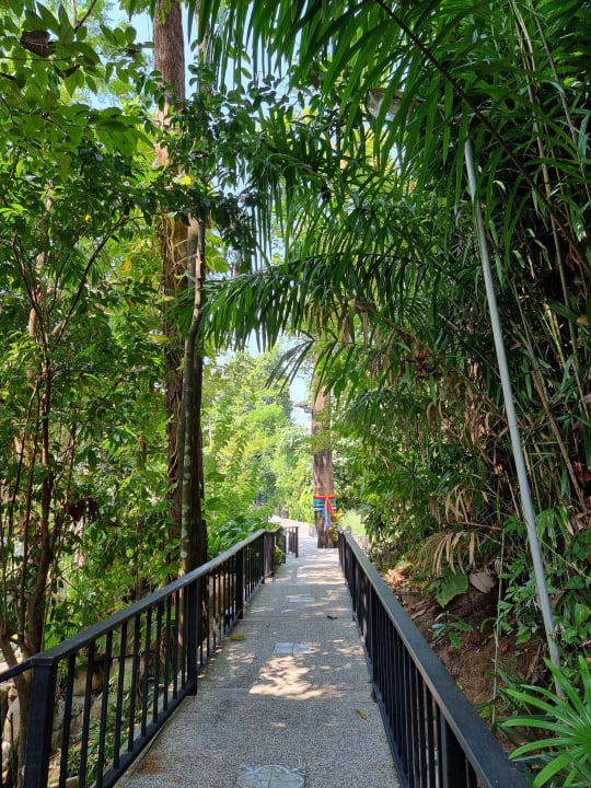 Gartenanlage Moracea by Khao Lak Resort