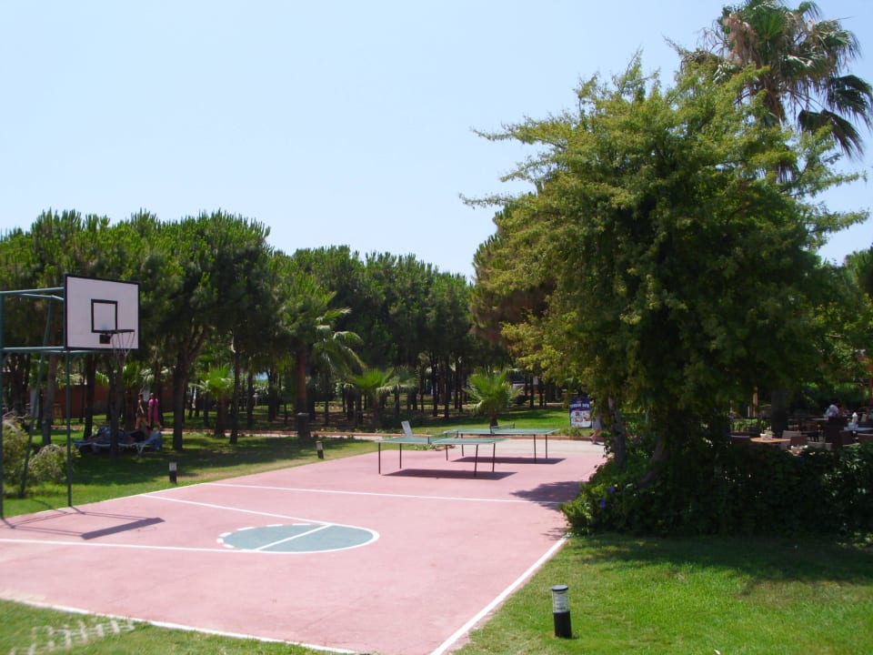 Basketballplatz  Club Turtas Beach Hotel