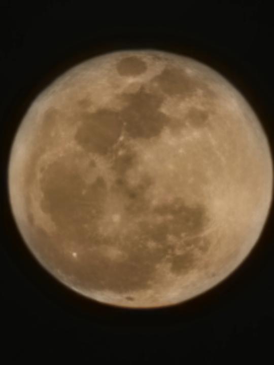 Sonstiges Shams Prestige Abu Soma-Adults Only