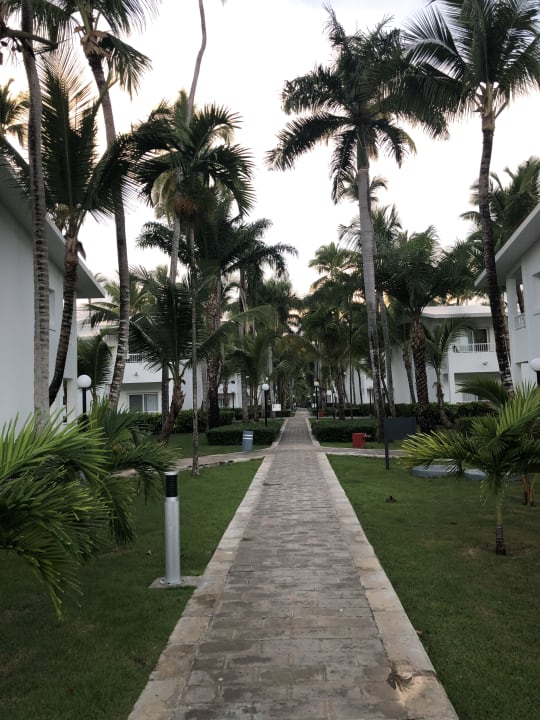 Gartenanlage Hotel Riu Bambu