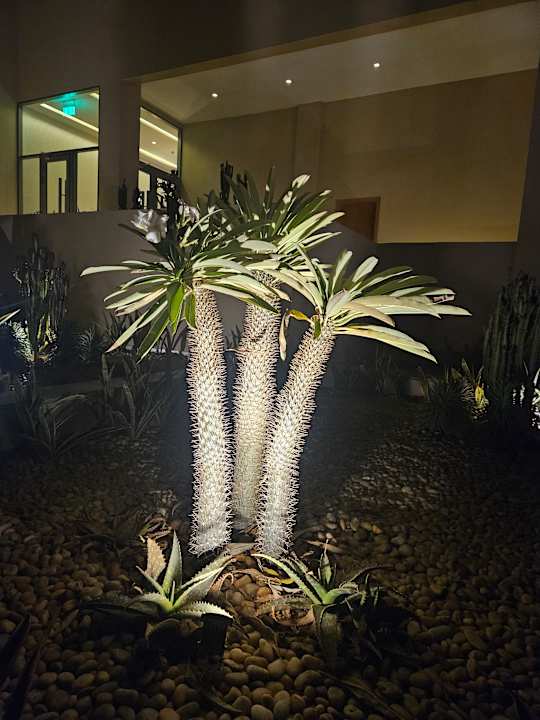 Gartenanlage JAZ Elite Riviera