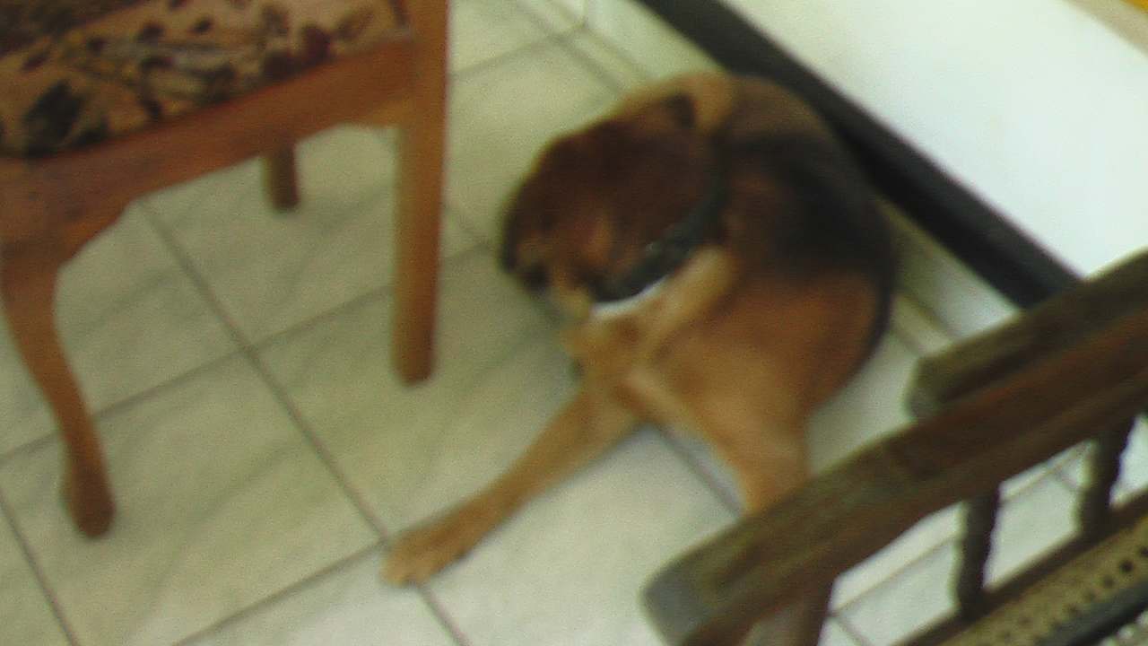 Außenansicht Sunshine Guesthouse