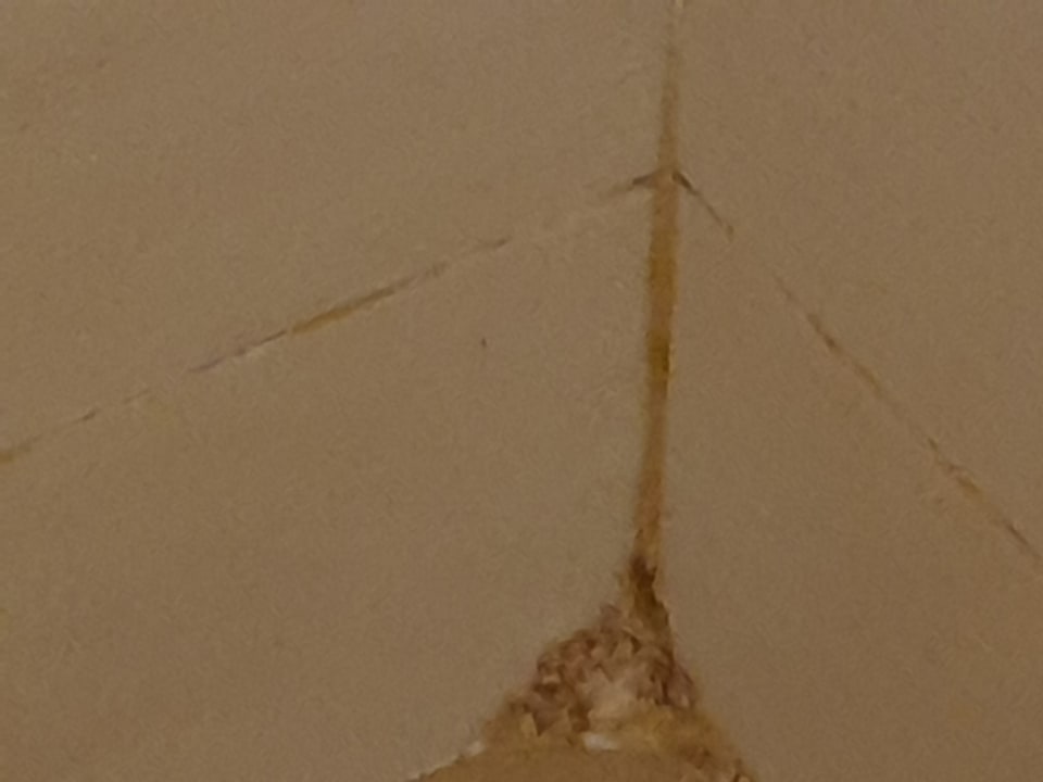 Zimmer Royal Star Beach Resort